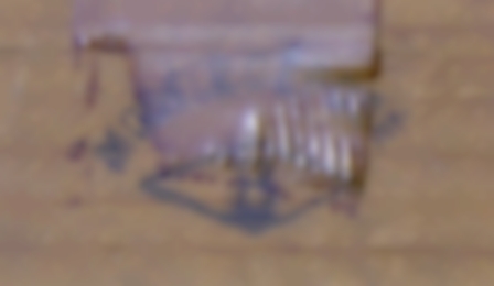 GL-1813